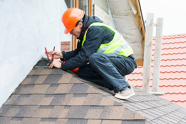 Best Roof Gutter Cleaning  in Riverton, NJ